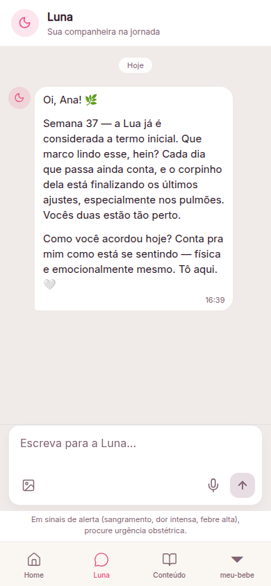 Chat com Luna no app